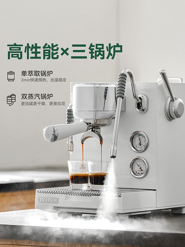 Bai Cui Pe3900 Small Commercial Coffee Machine, Fully Semi-Automatic, Home Use, Freshly Ground Espresso, Dual Pump, Triple Boiler, Platinum