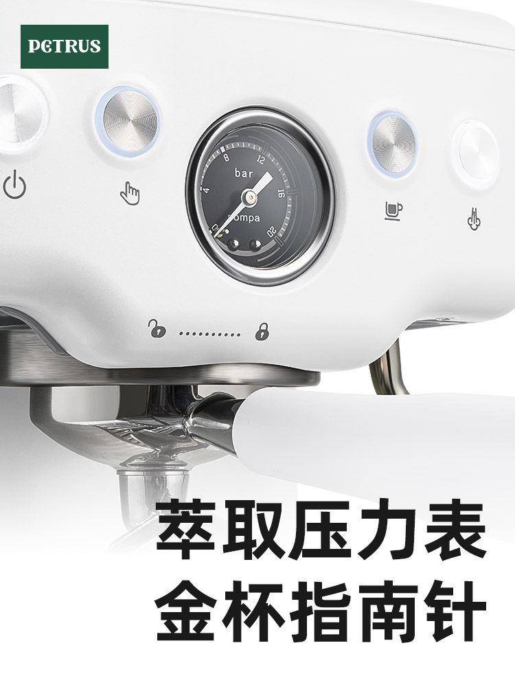 Petrus Pe3833 Sea Salt Square Pro Small Household Coffee Machine Semi-Automatic Professional Italian Style 3690