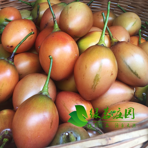 Yunnan agricultural products tree tomato acid eggplant egg fresh vegetables Dai flavor seasoning 1 kg full 2 kg