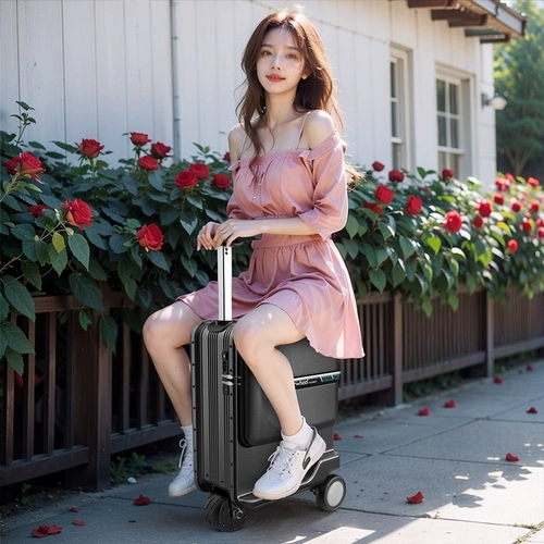 Чемодан, 20 дюймов