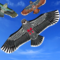 Eagle Kite Internet celebrity childrens outdoor toys breeze easy to fly adults super large high-end new high-end wire wheel