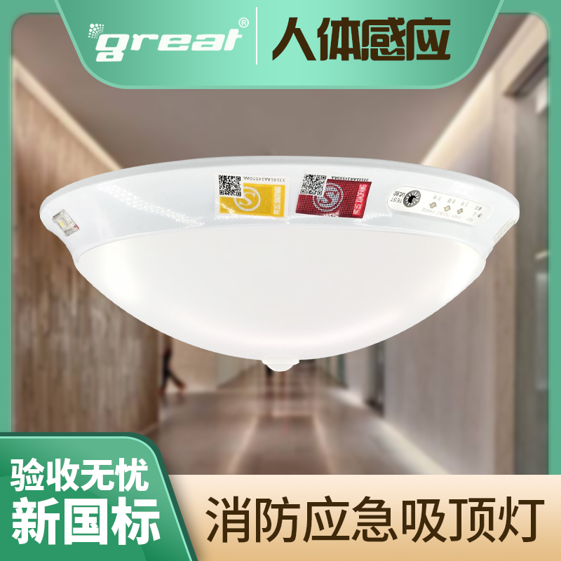 New national standard fire emergency ceiling lamp human infrared induction sound control corridor led emergency lighting