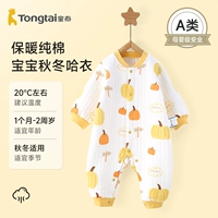 Модель C-Pumpkin Farm