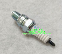 Applicable to New Continent Honda Weiwu Weisheng SDH100-41 41A E C 42 43 45 Special spark plug