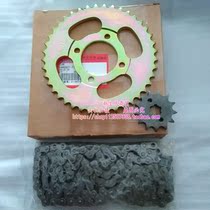 Danyang motorcycle Big Yang Baby series DY110-18 -18A chain chain chain chain