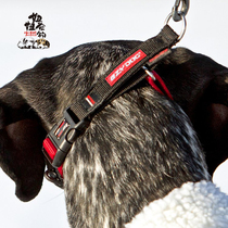 Australia EZYDOG Dog training collar collar dog chain explosion-proof half p chain walking dog golden Labrador
