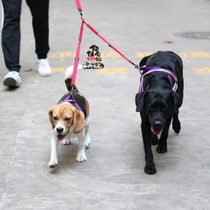 Niuniu pet EZYDOG Yi Ji dog leash belt zero-pull double extension rope double-head extension dog chain rope
