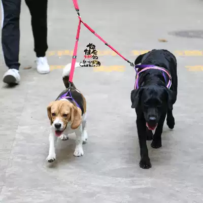 Niuniu pet EZYDOG Yi Ji dog leash Zero tension double extension rope Double extension dog chain rope