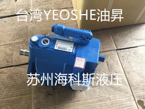 V15 V15 V23 V23 V25 V25 V42A1R A2R A3R10X A3R10X oil rising plunger pump