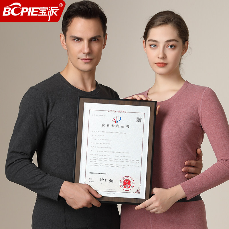 宋Pro新能源，纯电or混动？真相揭秘！⚡