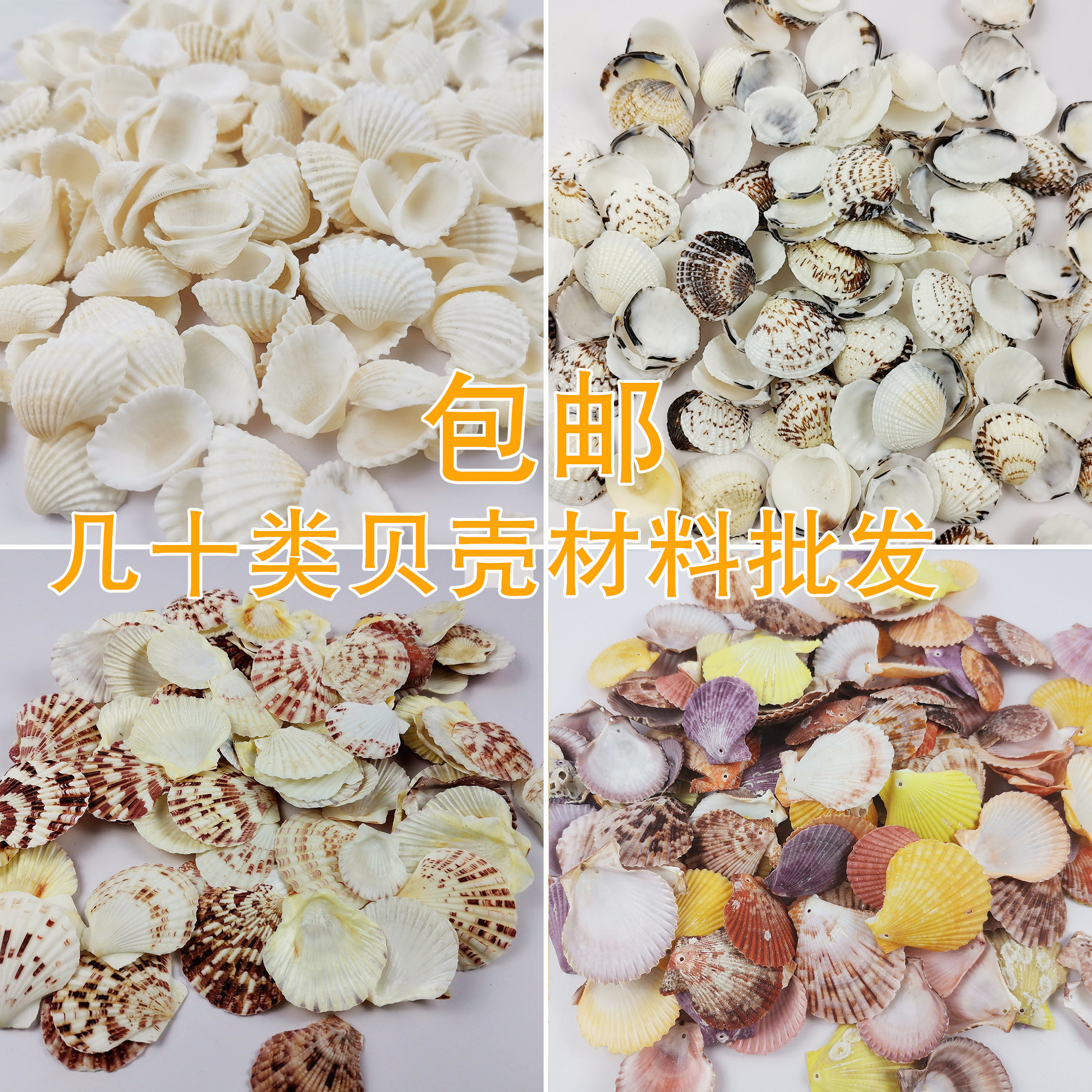 Natural Shells Sea Snail Clams Clam Scallop shell Coconut Bay Tail Clams fish tank ground Shop Windows Swing with wall ID Artisanal-Taobao