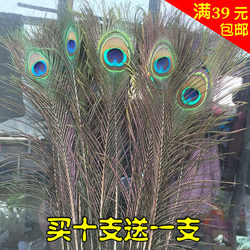 순수한 자연 장식 새로운 장식 DIY 공작 공작 공작
