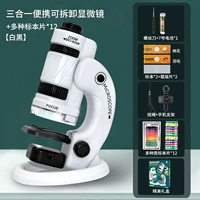 [Элементарное дополнение] Научный микроскоп 3-в-1 — черный (12 бесплатных образцов + аккумулятор + шнурок)