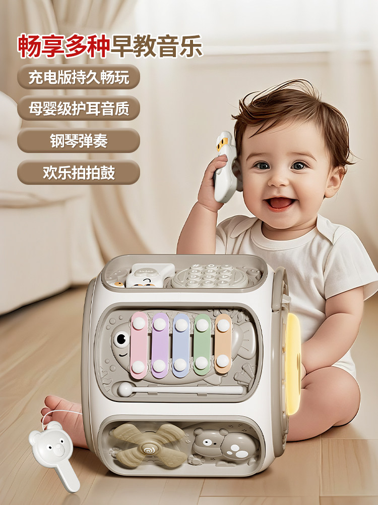 Baby Toys for 0-1 Year Old and 6 Months Old, Educational Early Learning Gifts for Toddlers, Suitable for Boys and Girls, Hand Drum