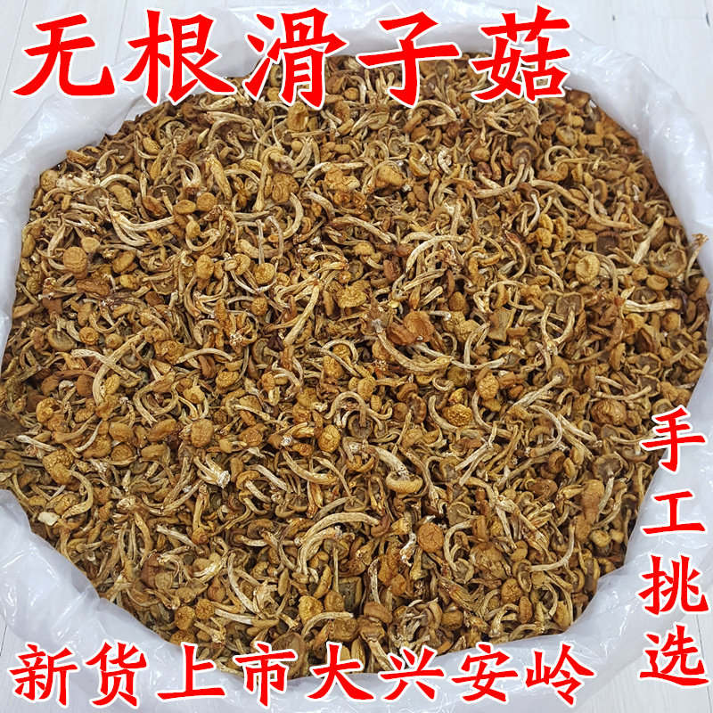 Slimy mushrooms Daxing Anling sliding sub-mushroom Northeastern terrosino Mushroom Origin Straight For Sycophino Mushroom Dry Goods 500g