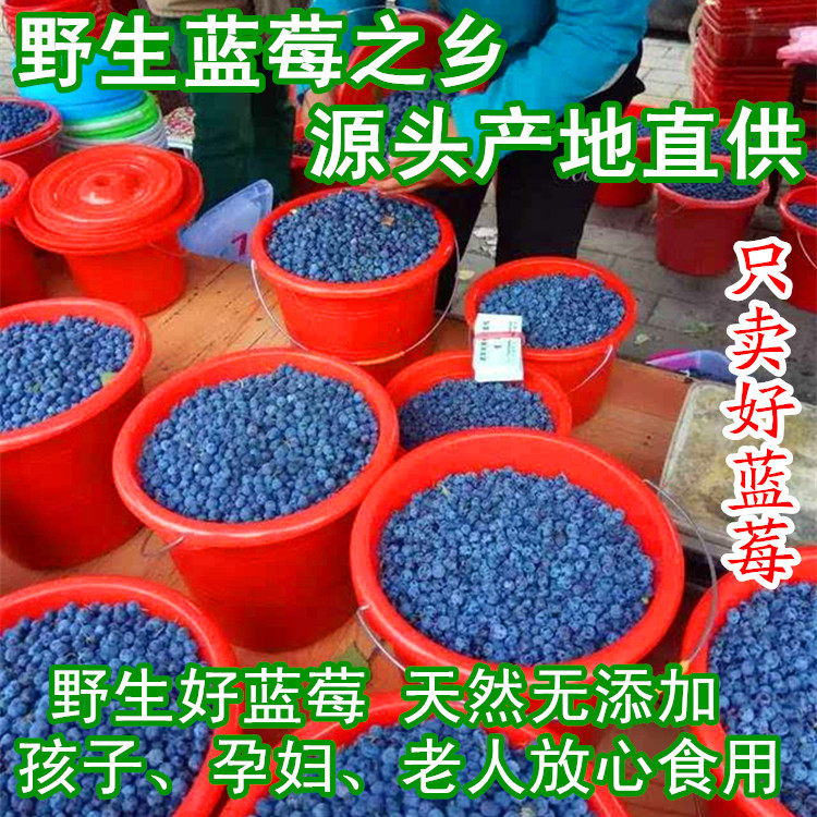 Dried blueberries Wild no added North Qishen blue mold dried blueberries Daxinganling specialty blueberry anthocyanins 500g