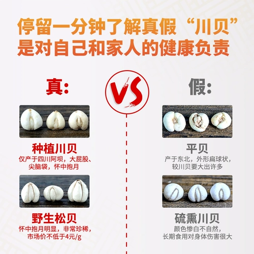 Купить 5 и получить 3 Sichuan Fritillaria 50G Подлинная Sichuan Sichuan Belle Fan Fan Китайские лекарственные материалы сосны Бедген без специфических диких серы гладких