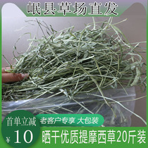 2021 New grass high quality Timothy grass hay 20kg Beiturus guinea pig rabbit grain Dutch pig feed