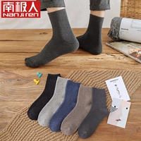 N052 【одинокие носки】