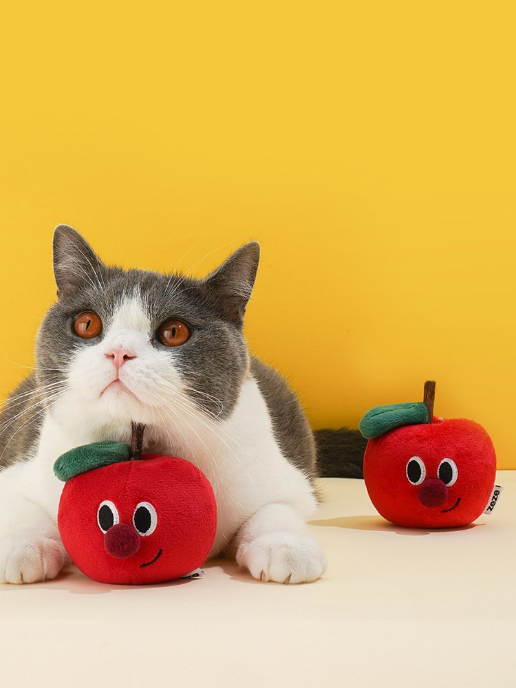 Игрушка для кошек zeze猫玩具木天蓼棒猫咪自嗨解闷含猫薄荷逗猫棒海鲜水果组合套装