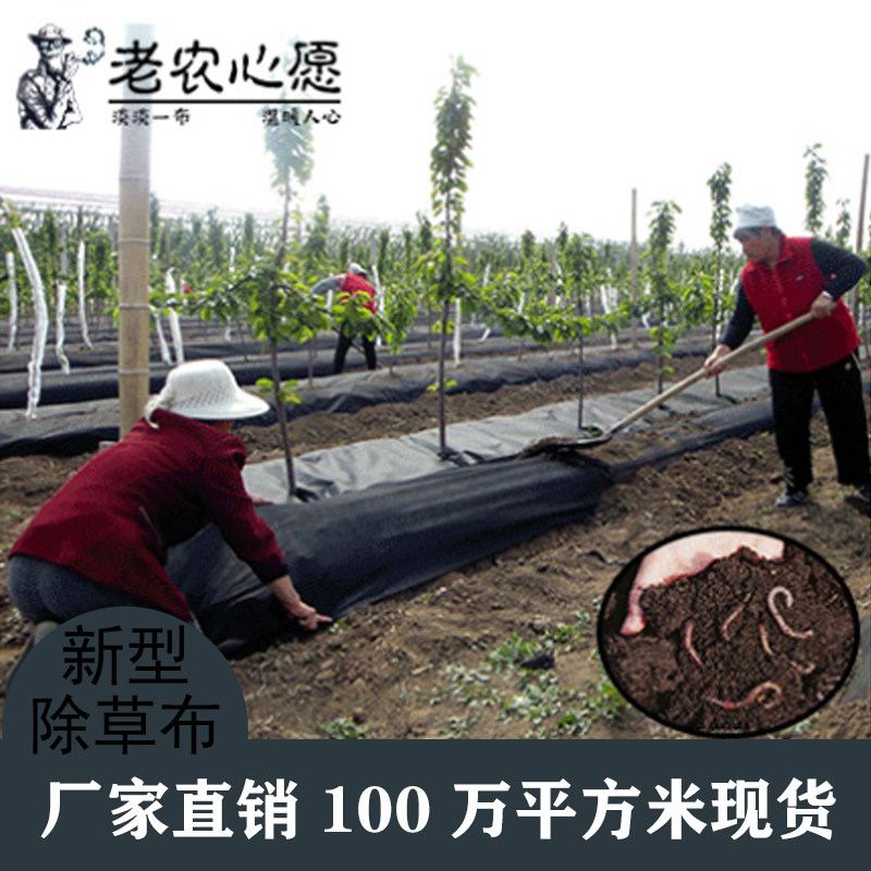 Black anti-grass cloth agricultural new durable orchard breathable and permeable permeable degradable grass cloth vegetables weeding mulch cloth