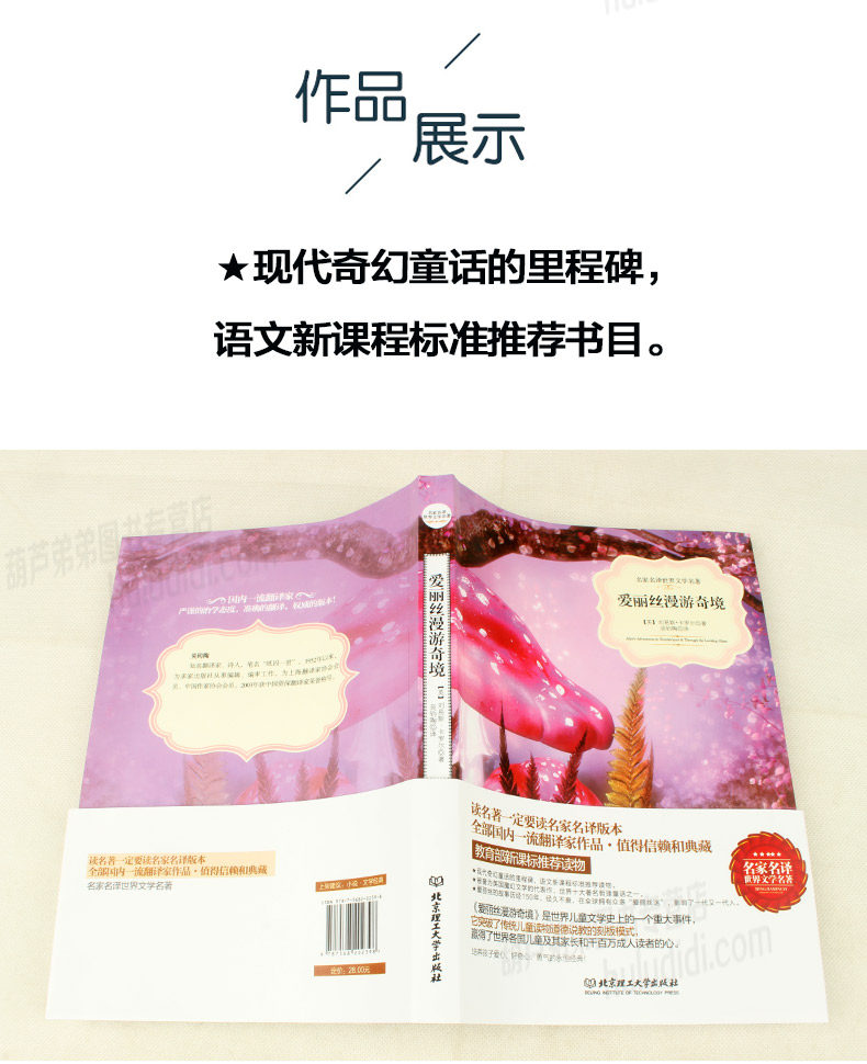 《爱丽丝漫游奇境》 图4