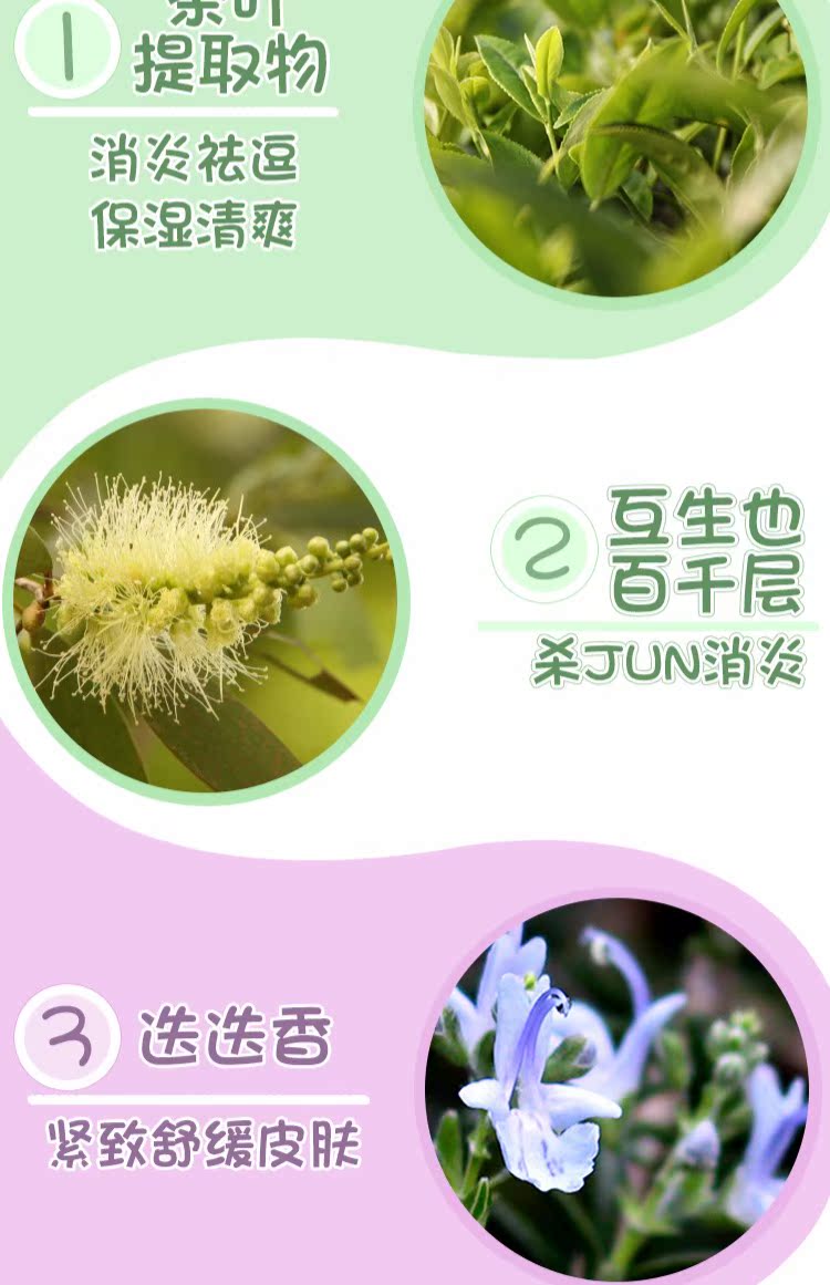Cửa hàng thơ Hàn Quốc Philippines The Face Shop trồng kem trang điểm trước sữa Kem che khuyết điểm bảo vệ bức xạ kéo dài che khuyết điểm black rouge