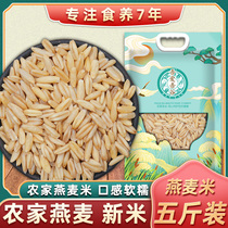 New rice oat rice New stock Five catties loaded oat kernel oil wheat oat wheat farmers self-produced 2500g-5 grain coarse grain 2 5kg
