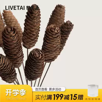 Life ins really dry flowers bouquet pine pines pine cone eternal flower decoration decoration decoration dry branches living room decoration flower arrangement