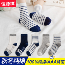 Hengyuanxiang Children's Socks Pure Cotton Boys Spring and Autumn Winter Middle School Children Socks Summer Pupil Boys Baby