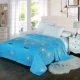 Mùa đông san hô lông cừu tấm đơn mảnh cộng với nhung dày chăn flannel chăn đơn mat đơn đôi sang trọng chăn drap giường mát lạnh