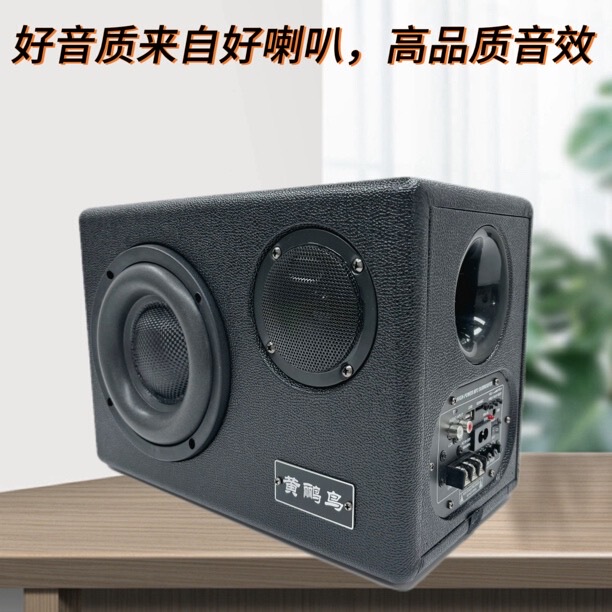 6/ 8inch Subwoofer 220V12V24V Home Car Audio Active Card-Insertable Speaker High-Power Bass Speaker