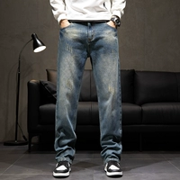 145 Обычная модель