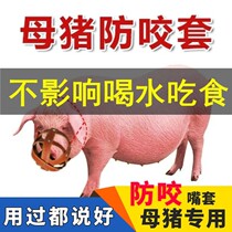 Mother pig Anti-bite Pig Mouth Cover Protection Piglet Deity Prevention Bite Pig Mouth Cage Mouth Hood Mau Goat Anti-Eat Something Special 
