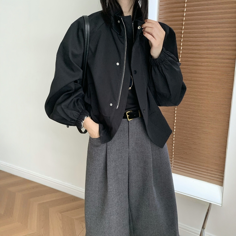 European Style Casual Stand-Up Collar Short Jacket for Women, Loose Lantern Sleeve Zipper Jacket, Black Design, Age-Reducing Top European Style Casual Stand-Up Collar Short Jacket for Women, Loose Lantern Sleeve Zipper Jacket, Black Design, Age-Reducing Top