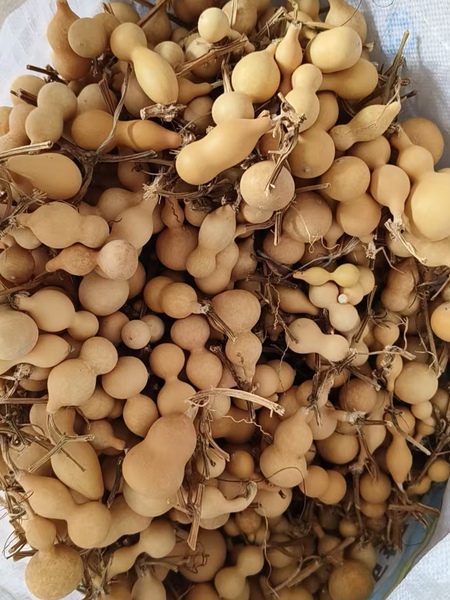 Various Shapes of Small Natural Gourds for Playing With, Including Tianjin Mouth-Shaped Mini Gourds