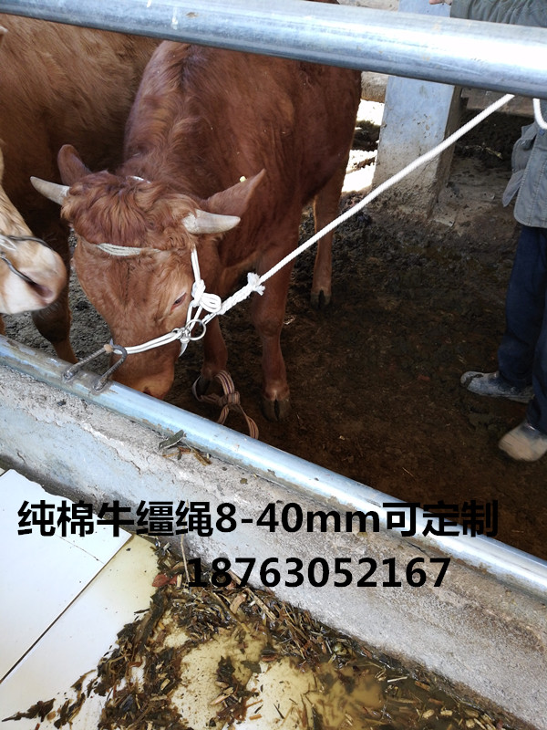 Morning glory rope lead horse rope tethered sheep rope cotton rope horse reins cow nose ring rope gift hook