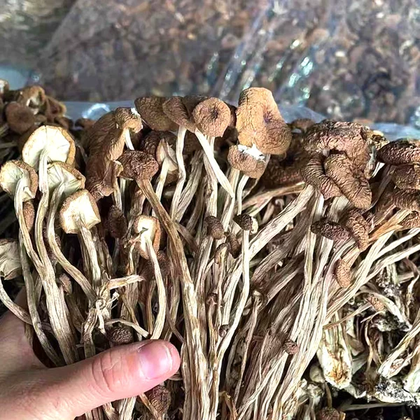 Товары от 退伍军人创业梦之店