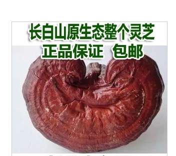 长白山紫灵芝孢子粉:仿野生林下的健康馈赠