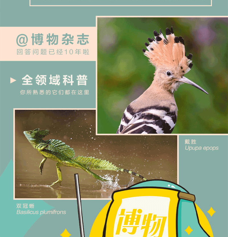 中国国家地理出品 《博物君式科普》 十年博物杂志精选 图5