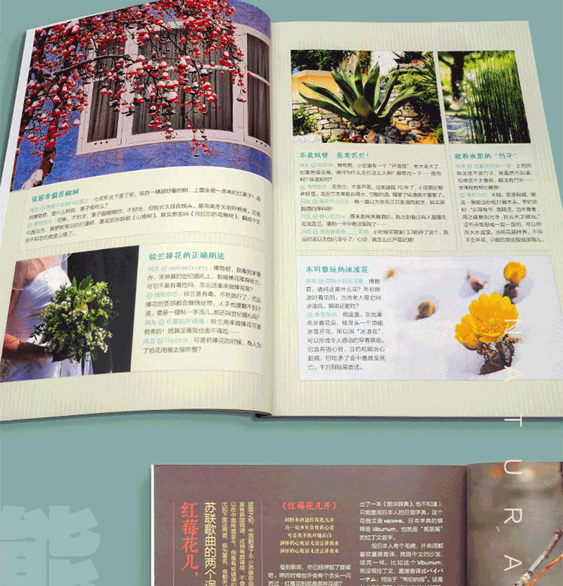 中国国家地理出品 《博物君式科普》 十年博物杂志精选 图12