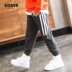 Left Tây chàng trai cộng với quần nhung một nhung trẻ em sweatpants dày bé trai cotton quần mùa đông quần áo 2019 mới. 