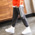 Left Tây chàng trai cộng với quần nhung một nhung trẻ em sweatpants dày bé trai cotton quần mùa đông quần áo 2019 mới. 