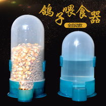 Pigeon automatic drinking fountain kettle bird supplies water feeder anti-scatter ceramic jar pigeon supplies utensils