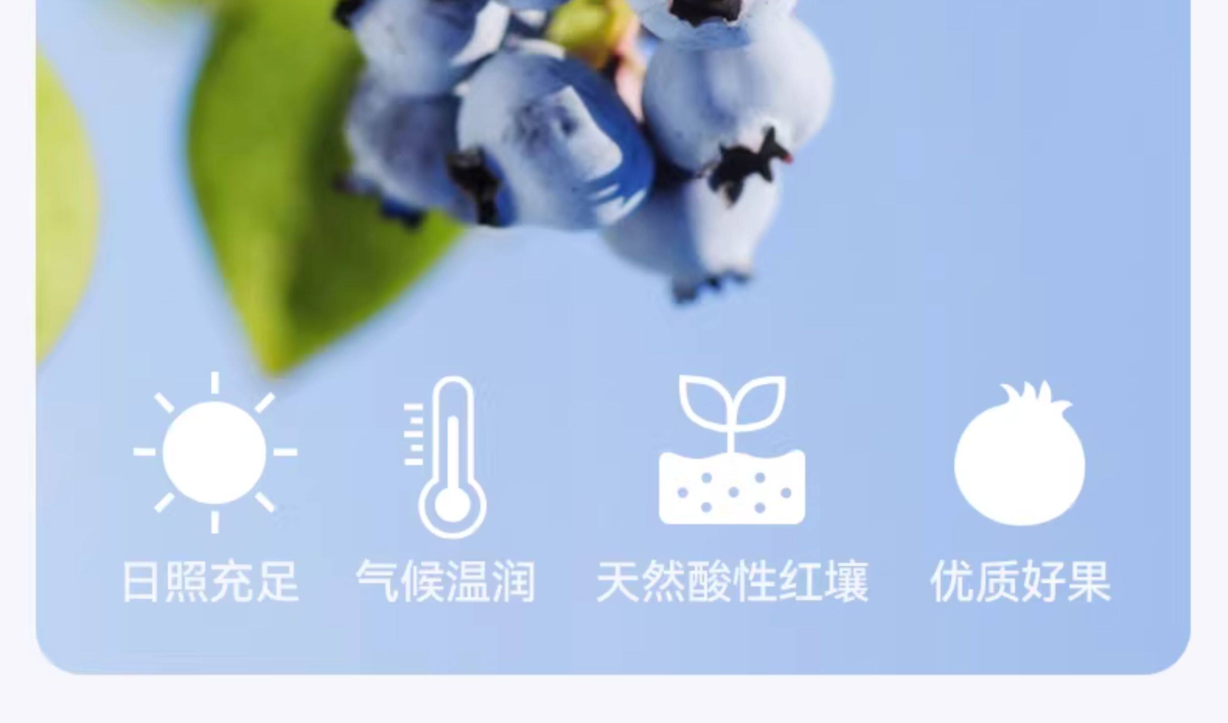 安享好物 安享S级果酱-展艺臻选 有机 草莓果酱  