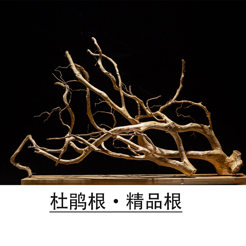 杜鹃根鱼缸造景素材:大号树枝天然树形,打造梦幻雨林水族箱!-造景-淘宝好物网