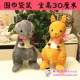 hộp nhựa nhỏ 30 trung bình Grabber búp bê hoạt hình sang trọng đồ chơi búp bê gấu ném đám cưới trò chơi quà tặng búp bê hộp nhựa tròn