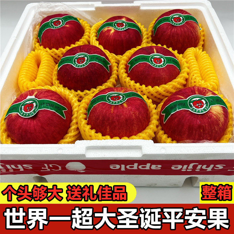 World Number One Big Apple whole box of 7-9 fresh fruits Red Fuji Christmas Christmas Christmas Eve Christmas Eve