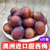 Spot Australian imported prune sweet plum fresh prune fruit baby food supplement pregnant woman fruit Chilean prune