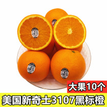 American Novelties 3107 Black Standard Orange Navel Orange sunkist Orange 10 packed Sweet Orange Seasonal Orange Imported
